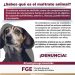 FGE.  “¡ELLOS TAMBIÉN SIENTEN!” EL MALTRATO ANIMAL SIGUE ENCENDIENDO LAS ALERTAS 🚨🐾