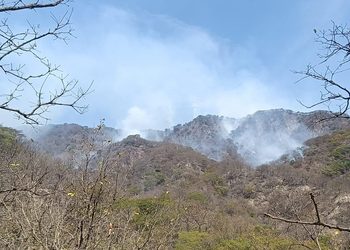 Brigadas mantienen atención activa a incendios forestales en el estado de Colima
