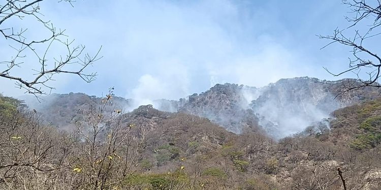 Brigadas mantienen atención activa a incendios forestales en el estado de Colima