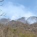 Brigadas mantienen atención activa a incendios forestales en el estado de Colima