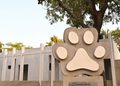 Gobierno de Rosi Bayardo avanza en la construcción del Centro de Bienestar Animal