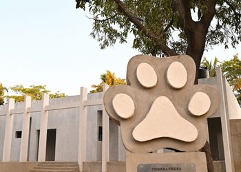Gobierno de Rosi Bayardo avanza en la construcción del Centro de Bienestar Animal
