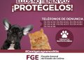 FGE.  ELLOS NO TIENEN VOZ PROTEGELOS Y DENUNCIA MALTRATO