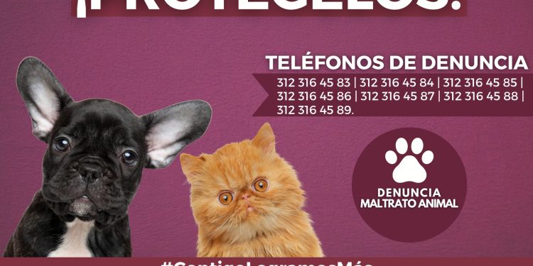 FGE.  ELLOS NO TIENEN VOZ PROTEGELOS Y DENUNCIA MALTRATO