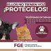 FGE. ELLOS NO TIENEN VOZ PROTEGELOS Y DENUNCIA MALTRATO