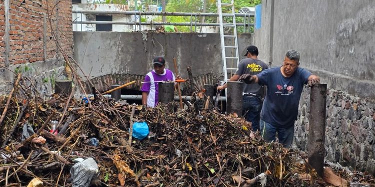 H. ayuntamiento de colima, ¡Estamos #TrabajandoPorTi en la conservación de nuestras bellezas naturales!
