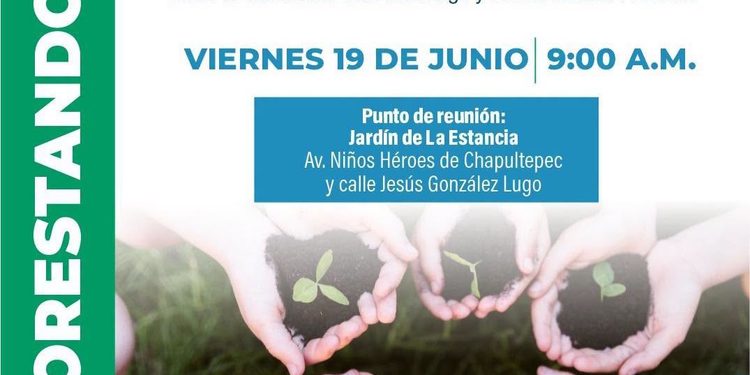 H. ayuntamiento de colima, Sembrar un árbol es sembrar esperanza