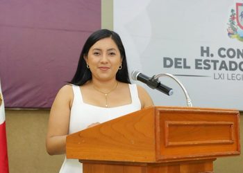 Impulsan en el Congreso reformas contra la violencia vicaria y por la inclusión de la Lengua de Señas