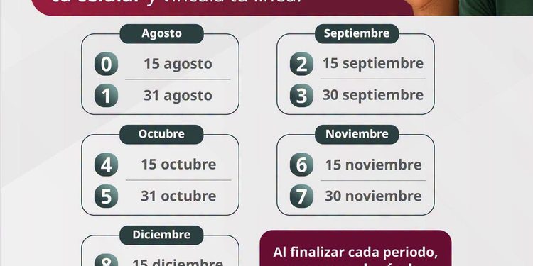 ¡Toma nota! Ya está disponible el calendario de registro para líneas telefónicas de prepago