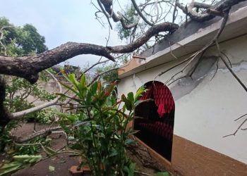 Derivado de las lluvias registradas este domingo en el estado, cuerpos de emergencia atendieron 12 incidentes sin que se reportaran personas lesionadas ni afectaciones graves.