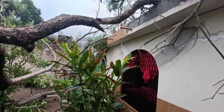 Derivado de las lluvias registradas este domingo en el estado, cuerpos de emergencia atendieron 12 incidentes sin que se reportaran personas lesionadas ni afectaciones graves.