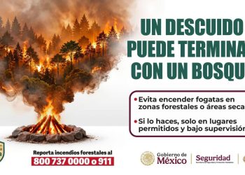 Una fogata mal apagada puede provocar un incendio forestal. Si visitas áreas naturales, evita dejar brasas encendidas y repoINrta cualquier conato de incendio al 911 o al 800 737 0000.