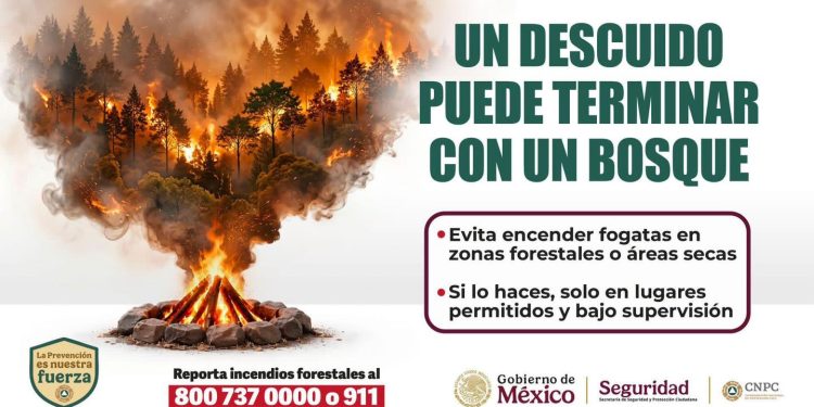 Una fogata mal apagada puede provocar un incendio forestal. Si visitas áreas naturales, evita dejar brasas encendidas y repoINrta cualquier conato de incendio al 911 o al 800 737 0000.