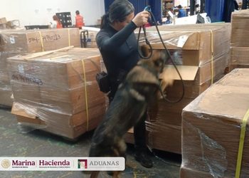 ANAM y SEMAR detectan más de 1.2 millones de cigarrillos durante acciones de control en el AICM