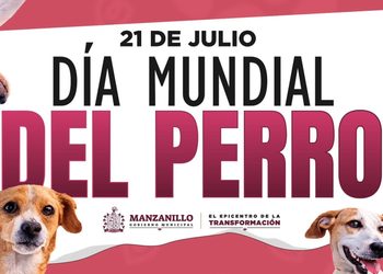 ¡El H. ayuntamiento de manzanillo celebra el Día Mundial del Perro y reafirma su compromiso con el bienestar animal!