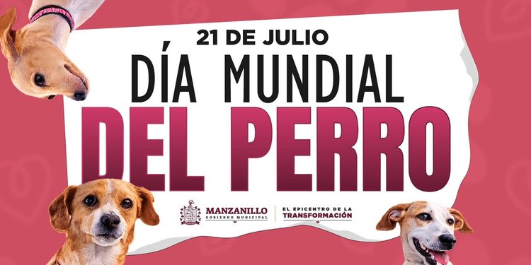 ¡El H. ayuntamiento de manzanillo celebra el Día Mundial del Perro y reafirma su compromiso con el bienestar animal!