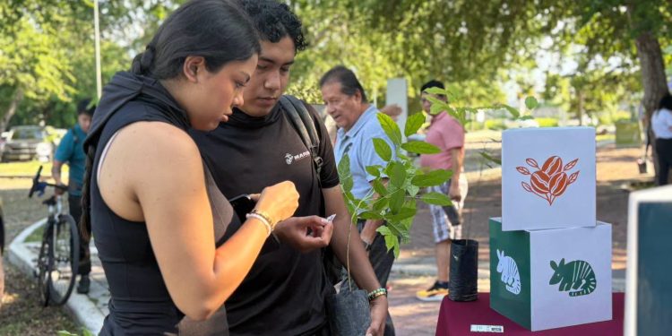 ¡La primera jornada de Adopta un Arbolito del Instituto para el Medio Ambiente y Desarrollo Sustentable fue todo un éxito!