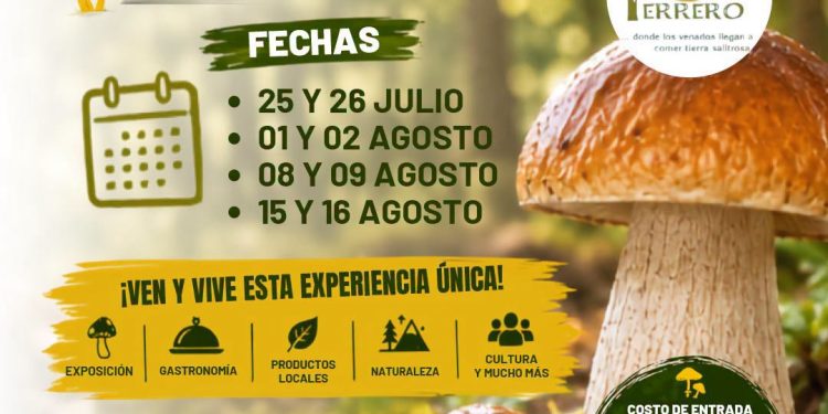 Escápate a la Sierra de Manantlán y vive la 12.ª Feria del Hongo