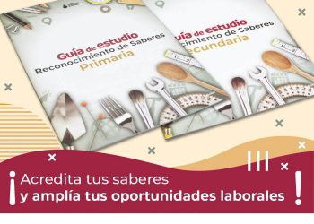 Tu experiencia de vida y tu capacitación laboral también cuentan.