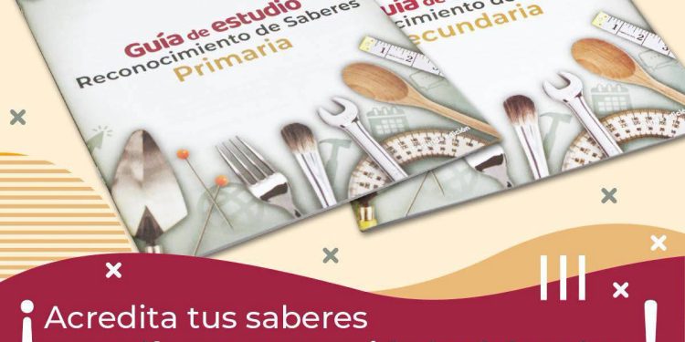 Tu experiencia de vida y tu capacitación laboral también cuentan.