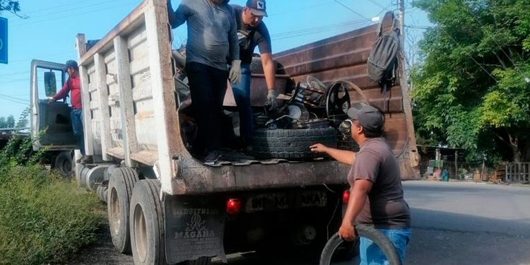 Colima, CDMX, Tlaxcala y Zacatecas, únicas entidades sin casos de dengue