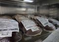 Colima, entre los primeros estados del país con más donación altruista de sangre