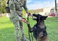 La Sexta Región Naval reconoce la labor de los elementos caninos navales