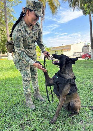 La Sexta Región Naval reconoce la labor de los elementos caninos navales