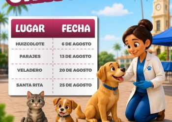 Manzanillo fortalece el bienestar animal con esterilizaciones gratuitas