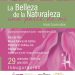 Subsecretaría de Cultura invita a apreciar la obra de Hazel Covarrubias, en Museo Palacio de Colima