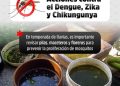 Evitar los criaderos de zancudos es una tarea de todas y todos para prevenir el dengue.