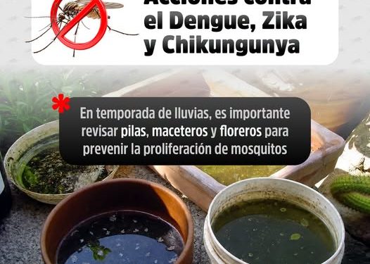 Evitar los criaderos de zancudos es una tarea de todas y todos para prevenir el dengue.