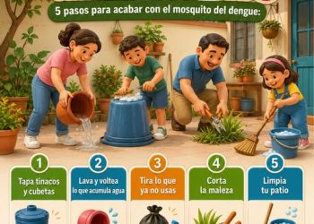 Prevenir el dengue también es una tarea que hacemos desde casa.