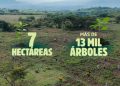 ¡En Colima sembramos vida y construimos futuro con la #JornadaNacionalDeReforestación!