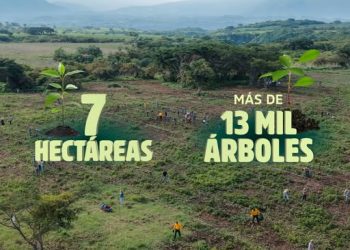 ¡En Colima sembramos vida y construimos futuro con la #JornadaNacionalDeReforestación!