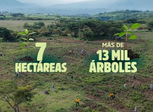¡En Colima sembramos vida y construimos futuro con la #JornadaNacionalDeReforestación!