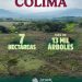 ¡En Colima sembramos vida y construimos futuro con la #JornadaNacionalDeReforestación!