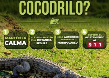 H. ayuntamiento de manzanillo, ¡Ante el avistamiento de un cocodrilo, evita ponerte en riesgo!