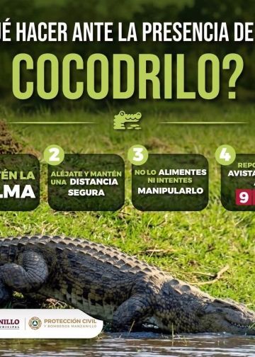 H. ayuntamiento de manzanillo, ¡Ante el avistamiento de un cocodrilo, evita ponerte en riesgo!
