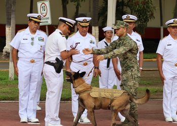 La Secretaría de Marina reconoce la trayectoria del elemento canino “Hermes” tras concluir su servicio activo en la Armada de México