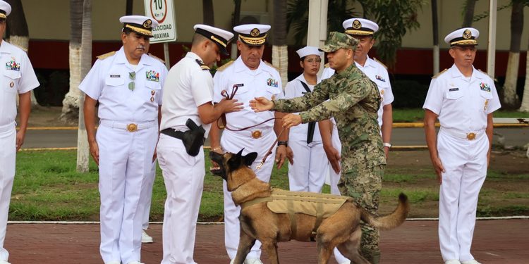 La Secretaría de Marina reconoce la trayectoria del elemento canino “Hermes” tras concluir su servicio activo en la Armada de México