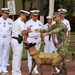 La Secretaría de Marina reconoce la trayectoria del elemento canino “Hermes” tras concluir su servicio activo en la Armada de México