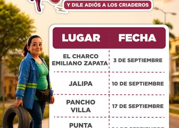Ayuntamiento de Manzanillo continúa en septiembre con jornadas de descacharrización para prevenir criaderos de mosquitos