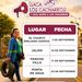 Ayuntamiento de Manzanillo continúa en septiembre con jornadas de descacharrización para prevenir criaderos de mosquitos