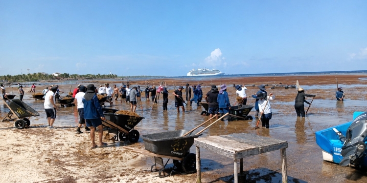 MARINA FORTALECE SU ESTRATEGIA CONTRA EL SARGAZO: CONTENCIÓN EN EL MAR Y VENTANAS DE PLAYA PARA PROTEGER EL CARIBE MEXICANO