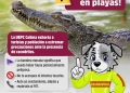 Si visitas nuestras playas, recuerda disfrutar con responsabilidad y atender las recomendaciones de Protección Civil Estatal Colima.