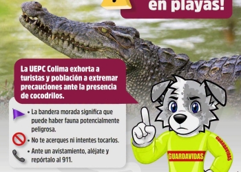 Si visitas nuestras playas, recuerda disfrutar con responsabilidad y atender las recomendaciones de Protección Civil Estatal Colima.