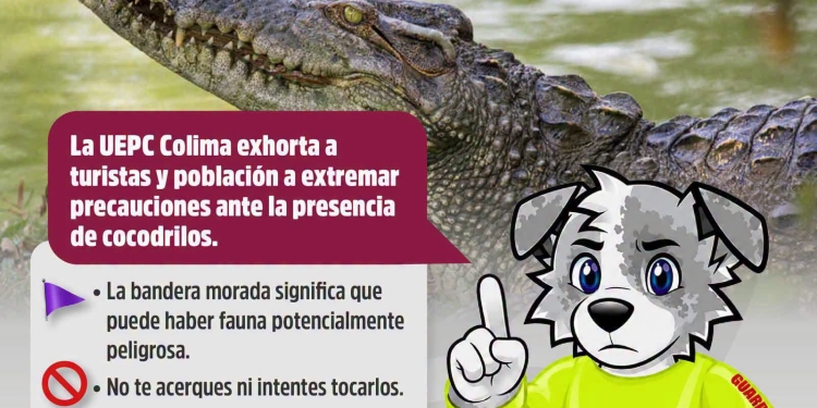 Si visitas nuestras playas, recuerda disfrutar con responsabilidad y atender las recomendaciones de Protección Civil Estatal Colima.