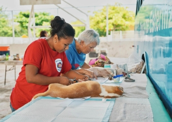 ¡En Manzanillo, el bienestar animal se construye con acciones!
