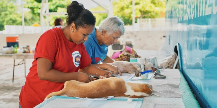¡En Manzanillo, el bienestar animal se construye con acciones!